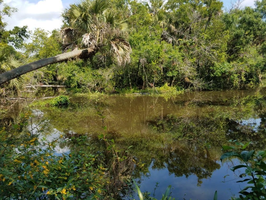 Halpatiokee Regional Park