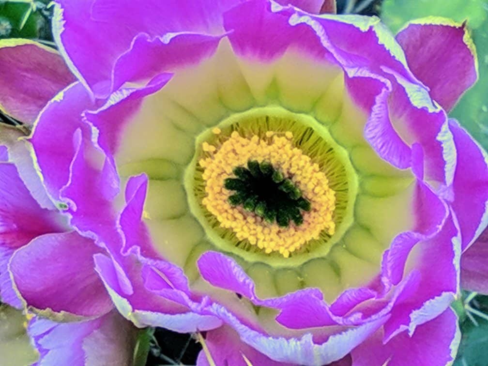 Art Galleries & Exhibits