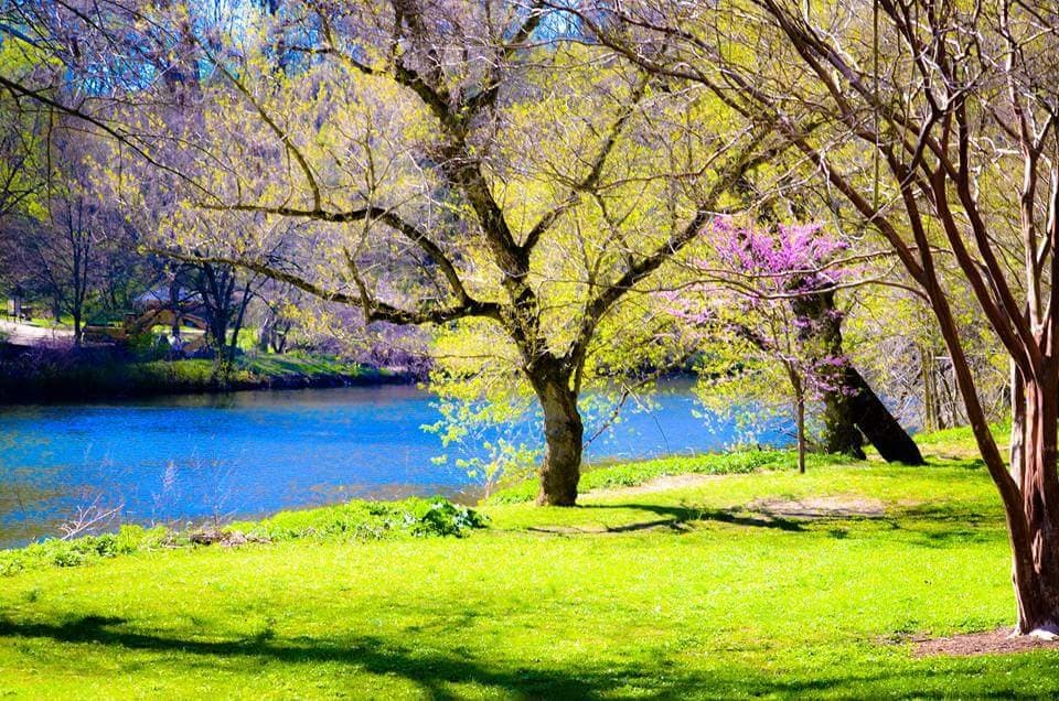 Brandywine Park