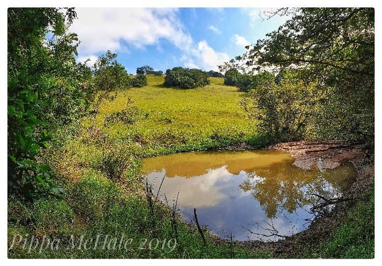 Loop Trail Adventure