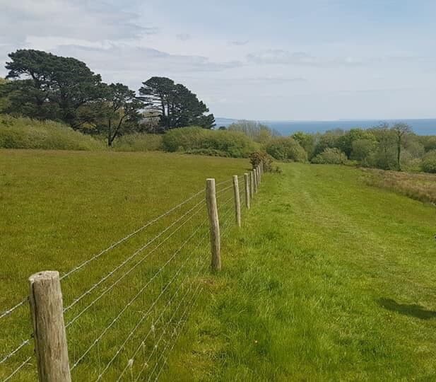 Ware Cliffs