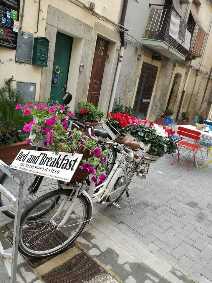 Local Culinary Delights