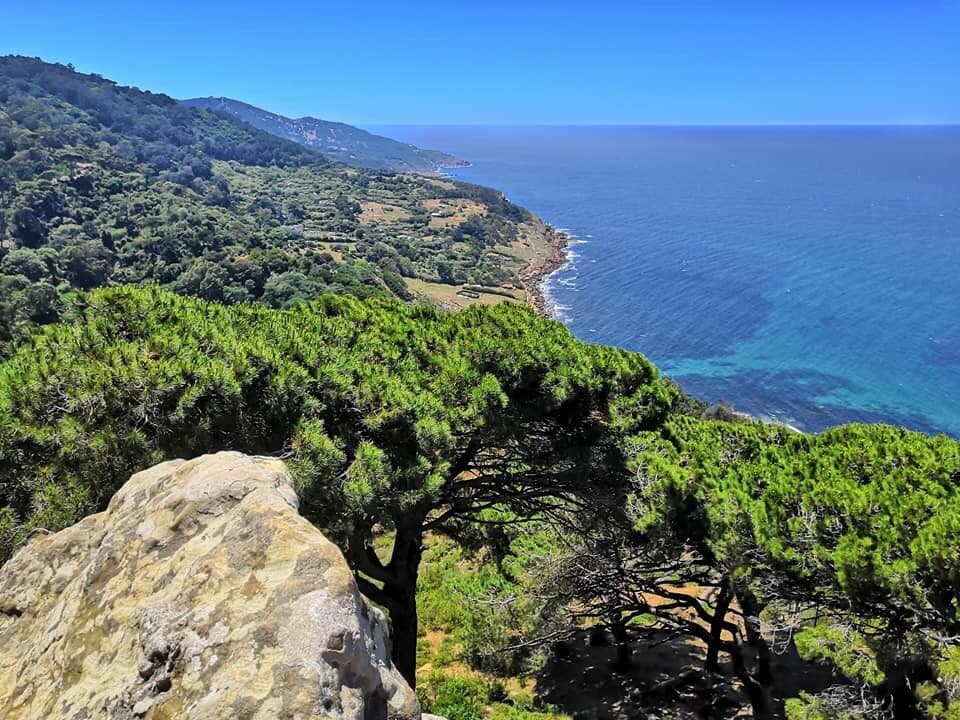 Parc Perdicaris