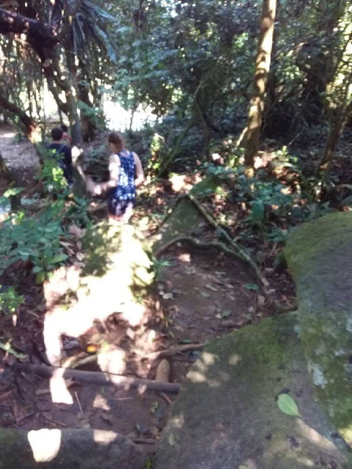 The Natural Toboggan