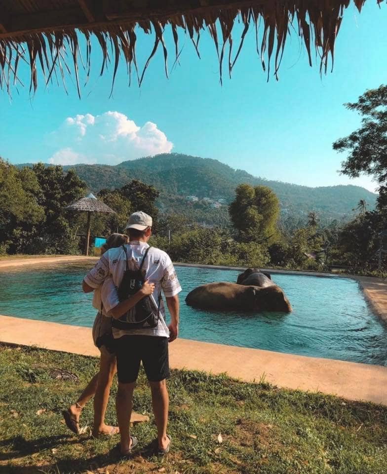 Observe Elephant Bathing & Play