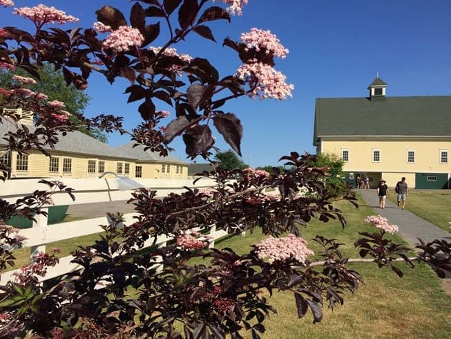 Historic Farm Buildings