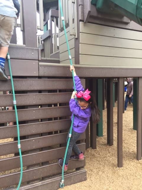 The Playground Paradise