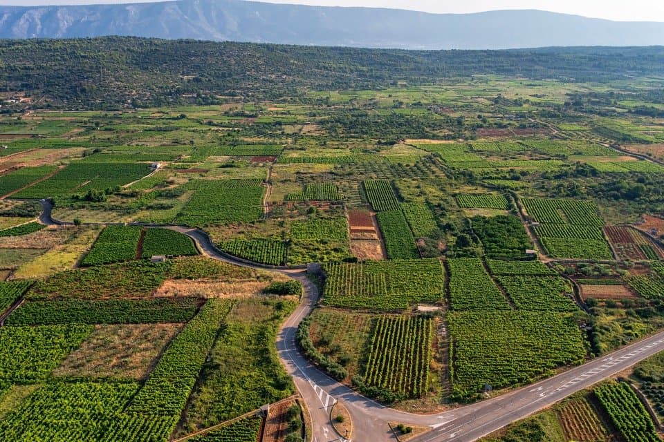 Stari Grad plain is the best preserved Greek cadastre in the Mediterranean. It was inscribed in the UNESCO World Heritage List in 2008. Don't miss to visit it while on the island!