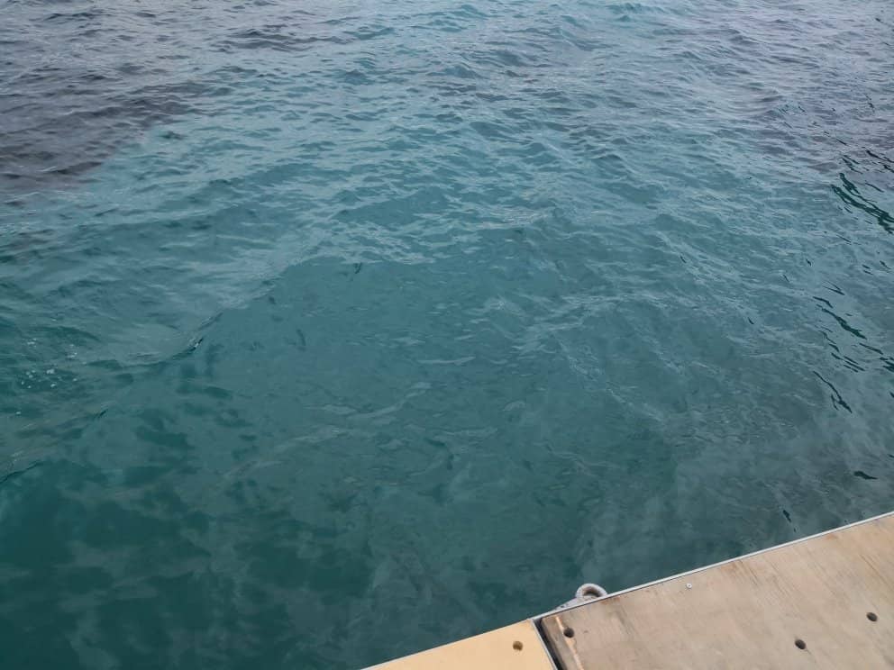 Shaded Terrace Dining