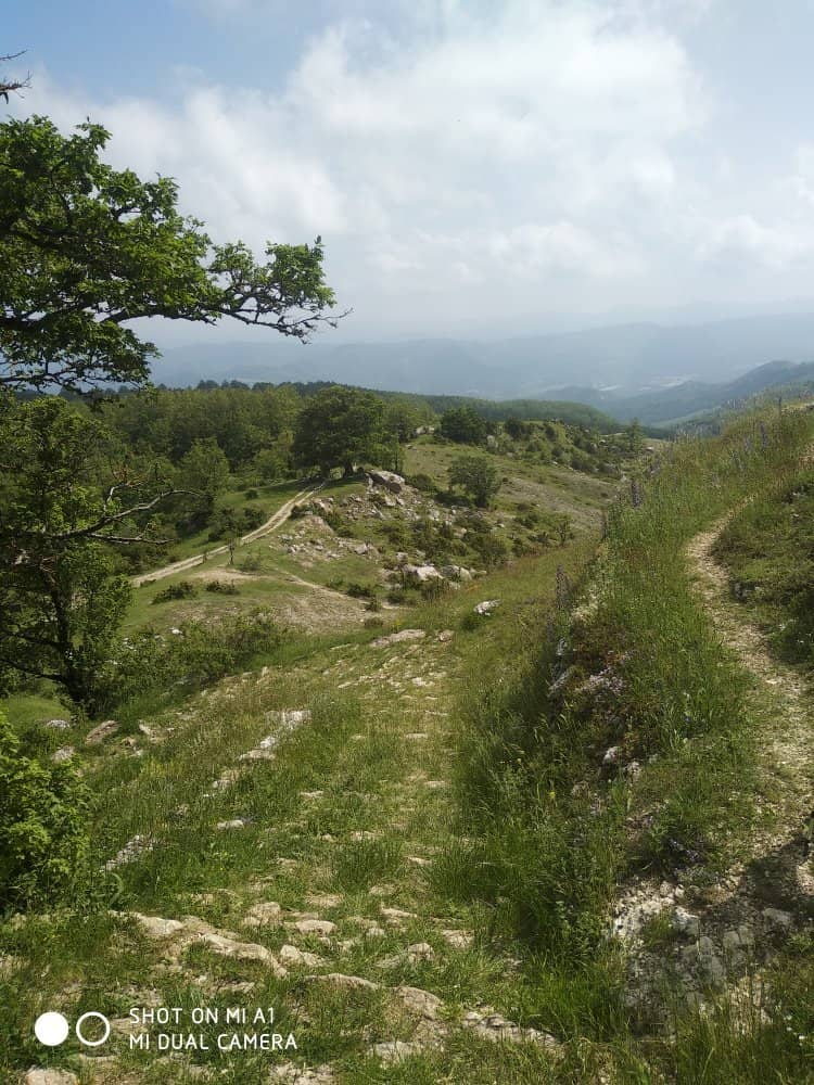 Night Sky Photography