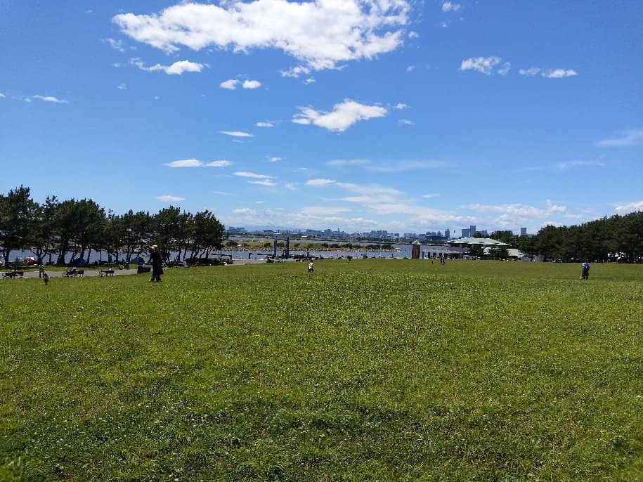 Designated BBQ Areas