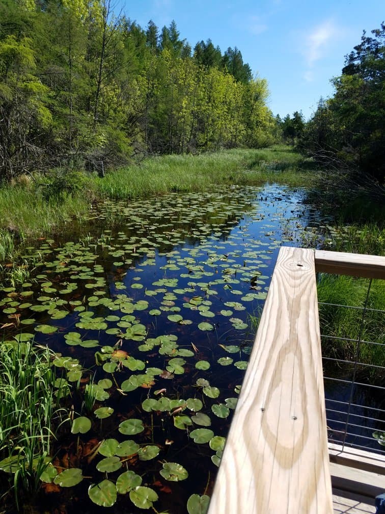 The Ridges Sanctuary Door County