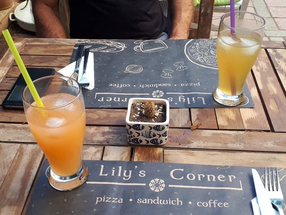 Charming Garden Ambiance