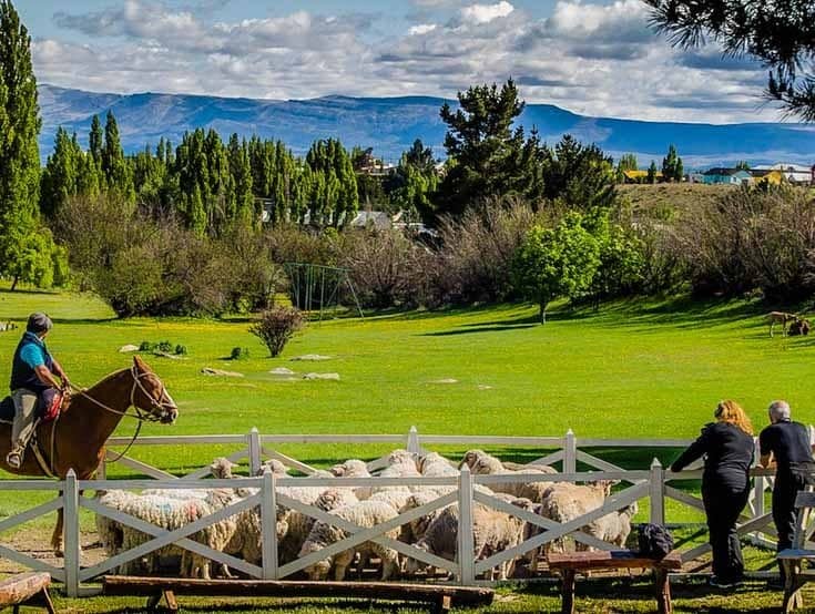 Traditional Patagonian Dinner