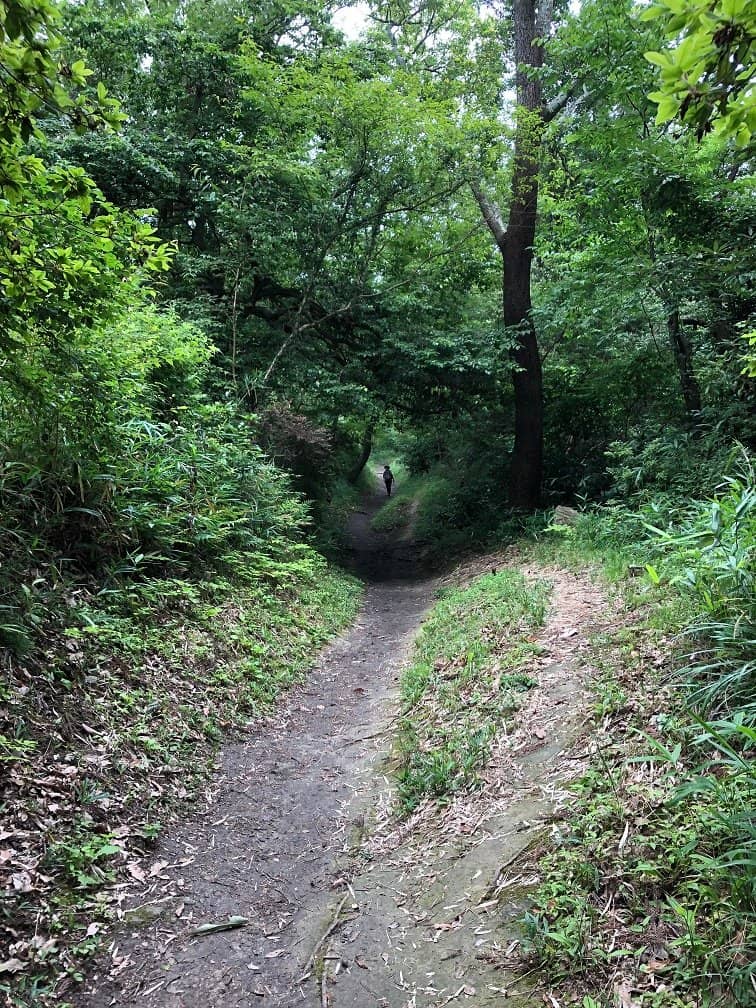 Ikoma Mountain Amusement Park