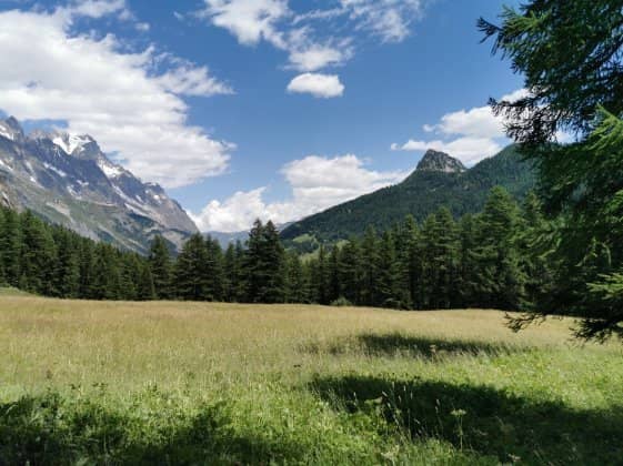 Rifugio Elena Views
