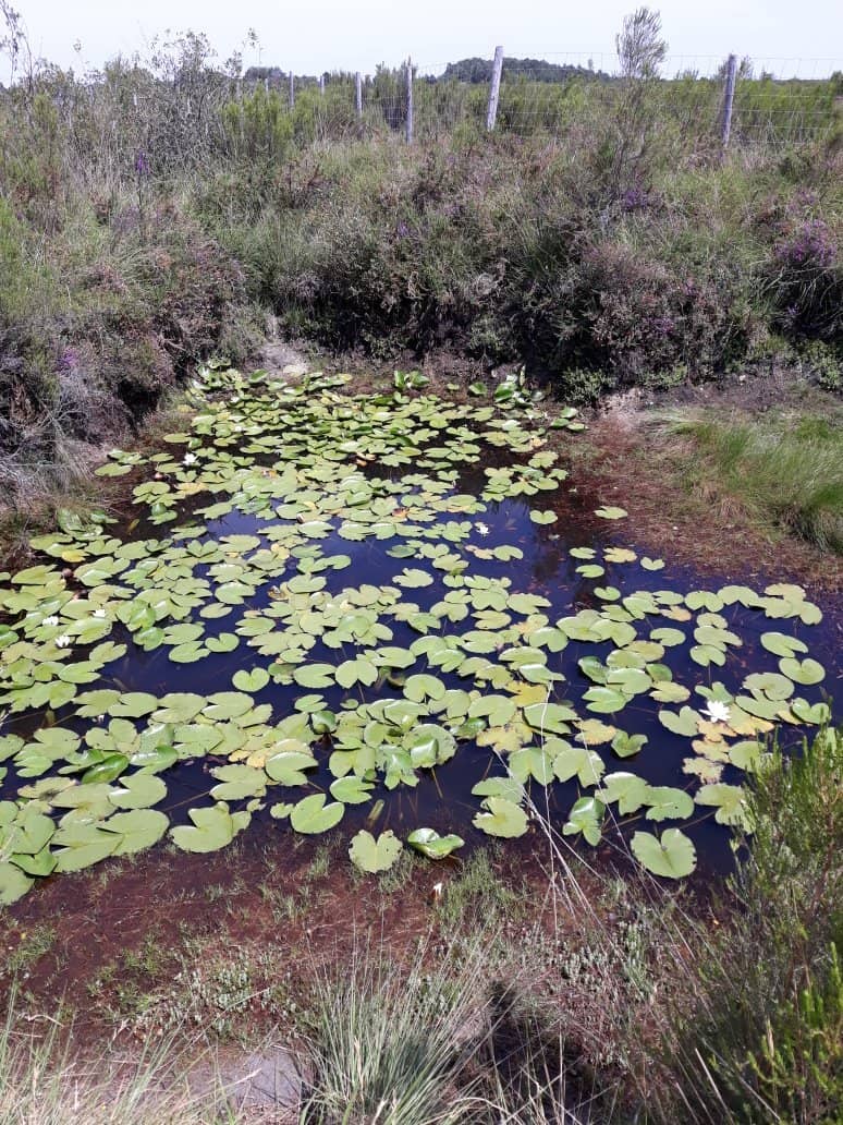 Historical Sandstone Quarries