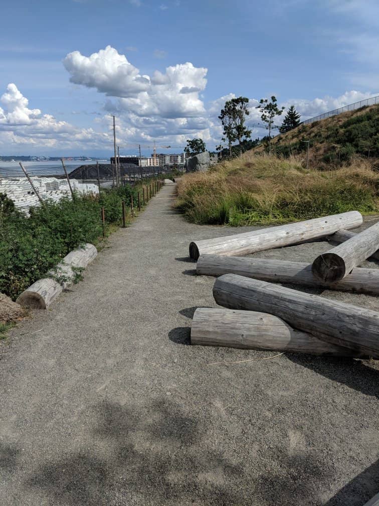 Puget Sound Vistas