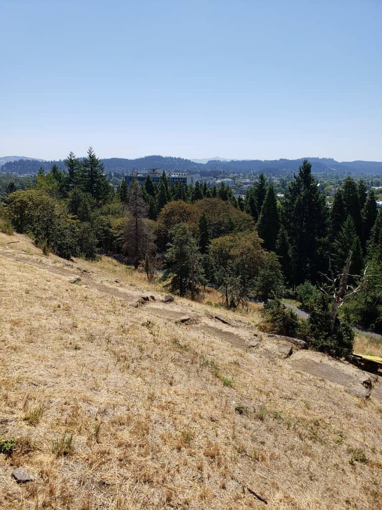 Panoramic City Views