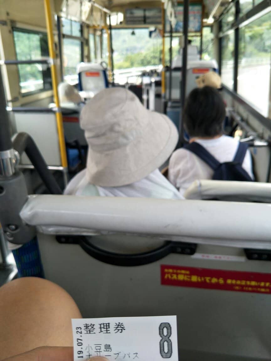 Olive Groves & Heart Leaves