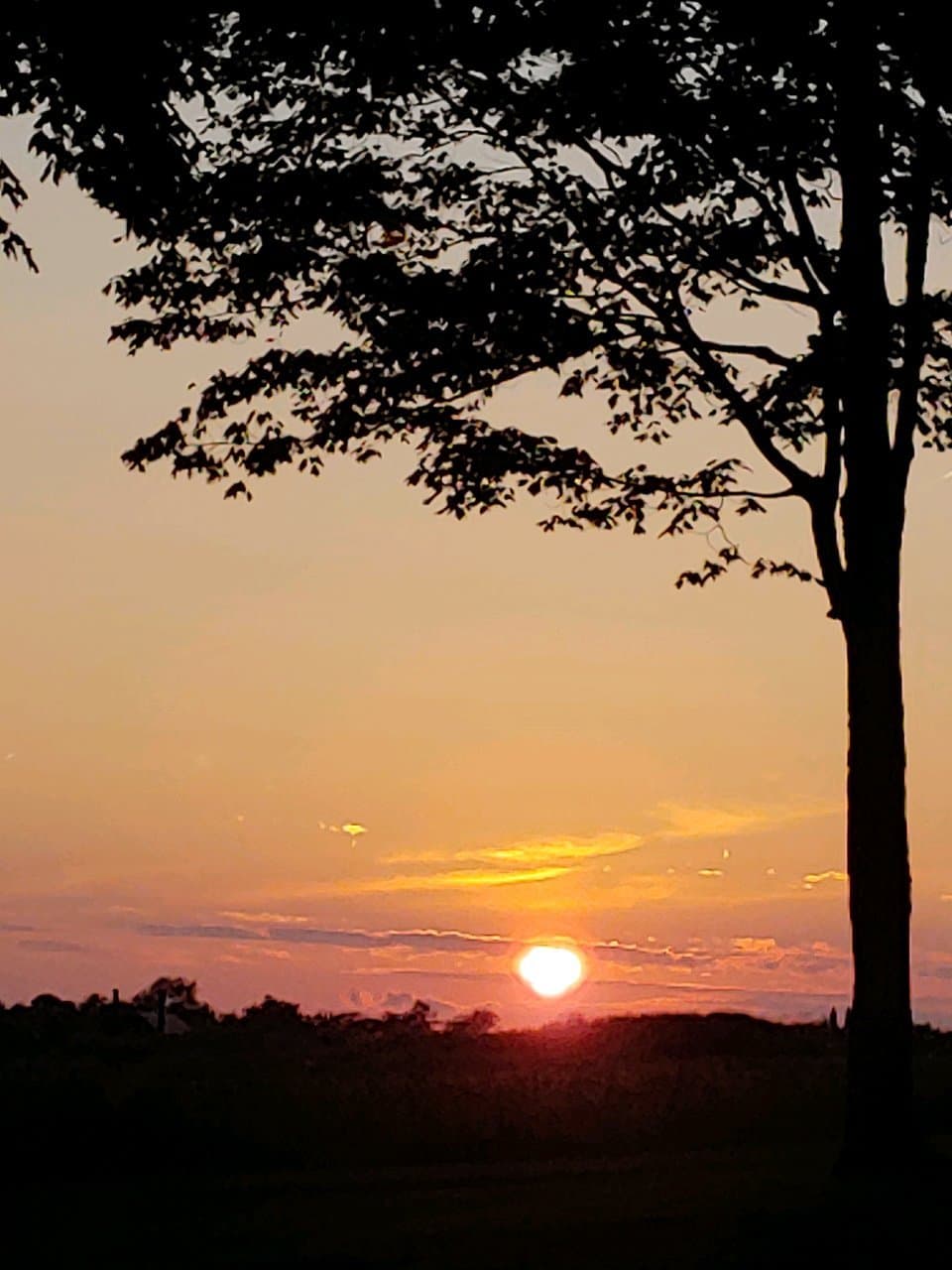 Cherry Springs State Park