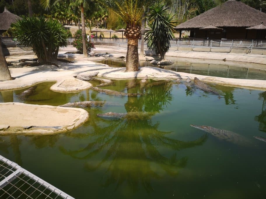 Crocodile Rehabilitation and Research Centre Neyyar