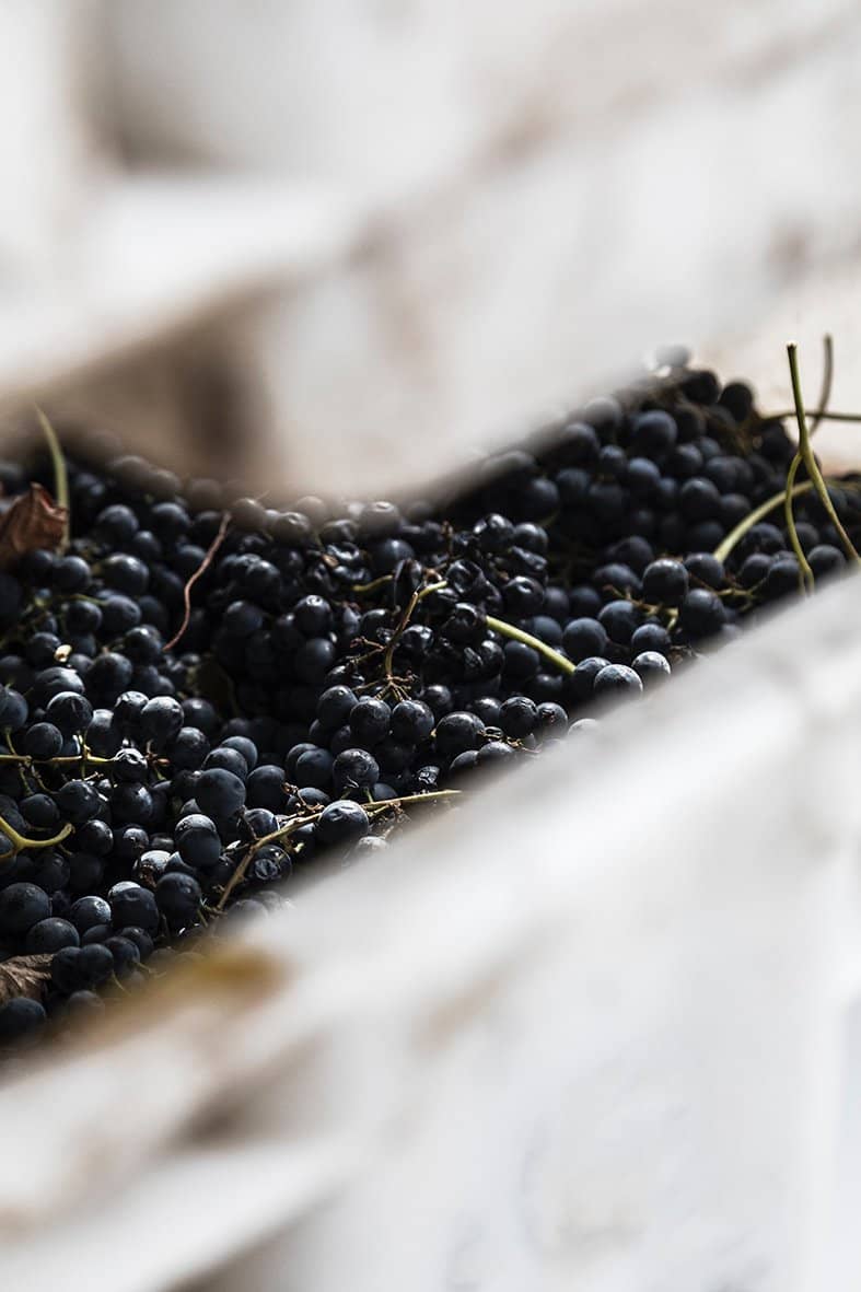 Winery & Production Tour