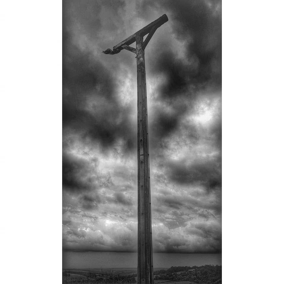 Vertical photo