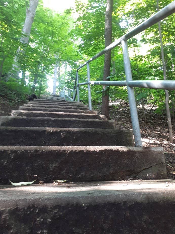 Vibrant Fall Foliage Trails