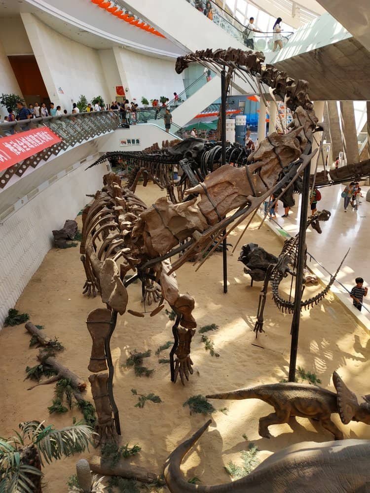 Vast Zoological Collection