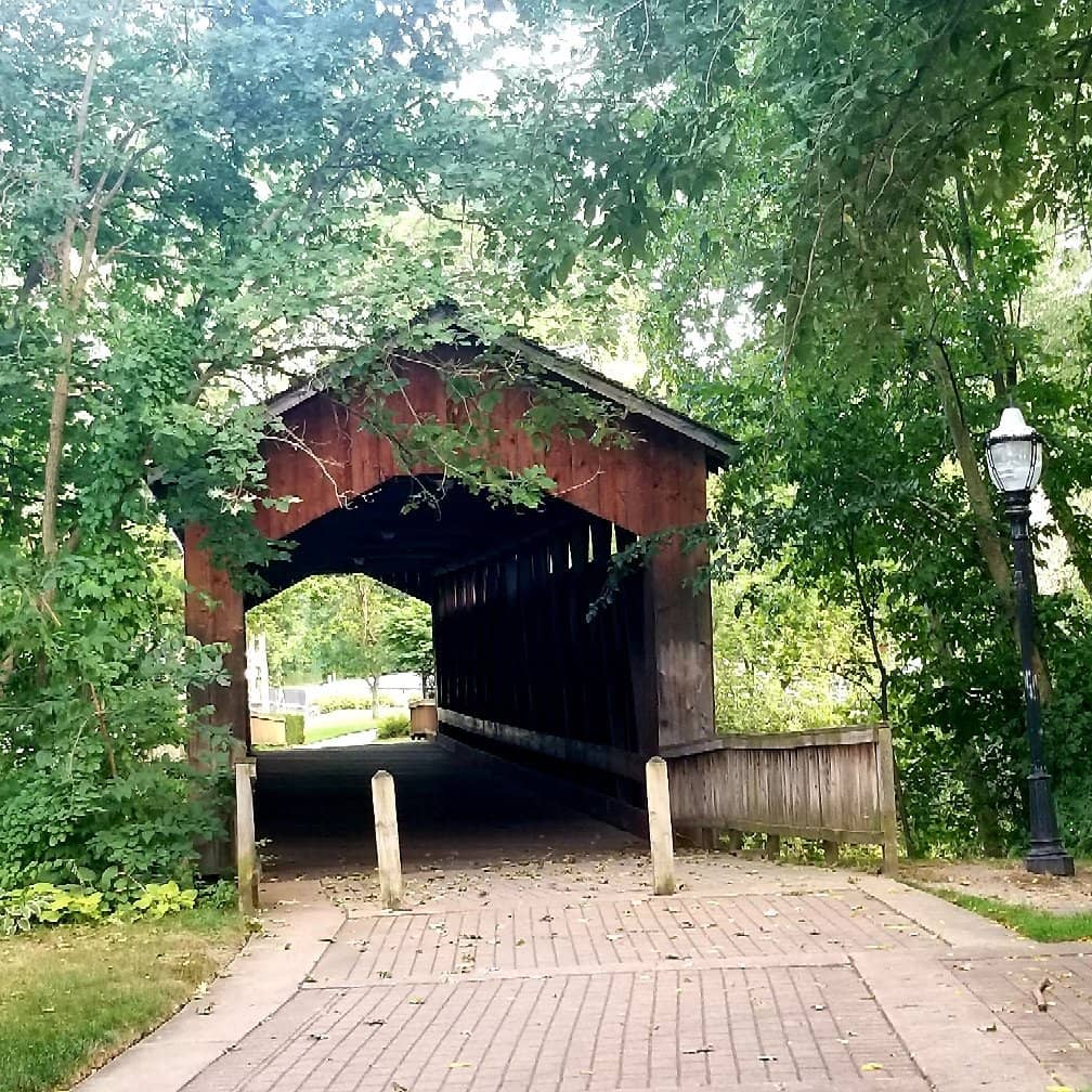 Thornapple River Views