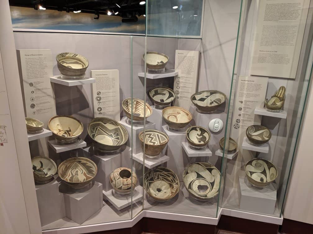 Lucy the Australopithecus