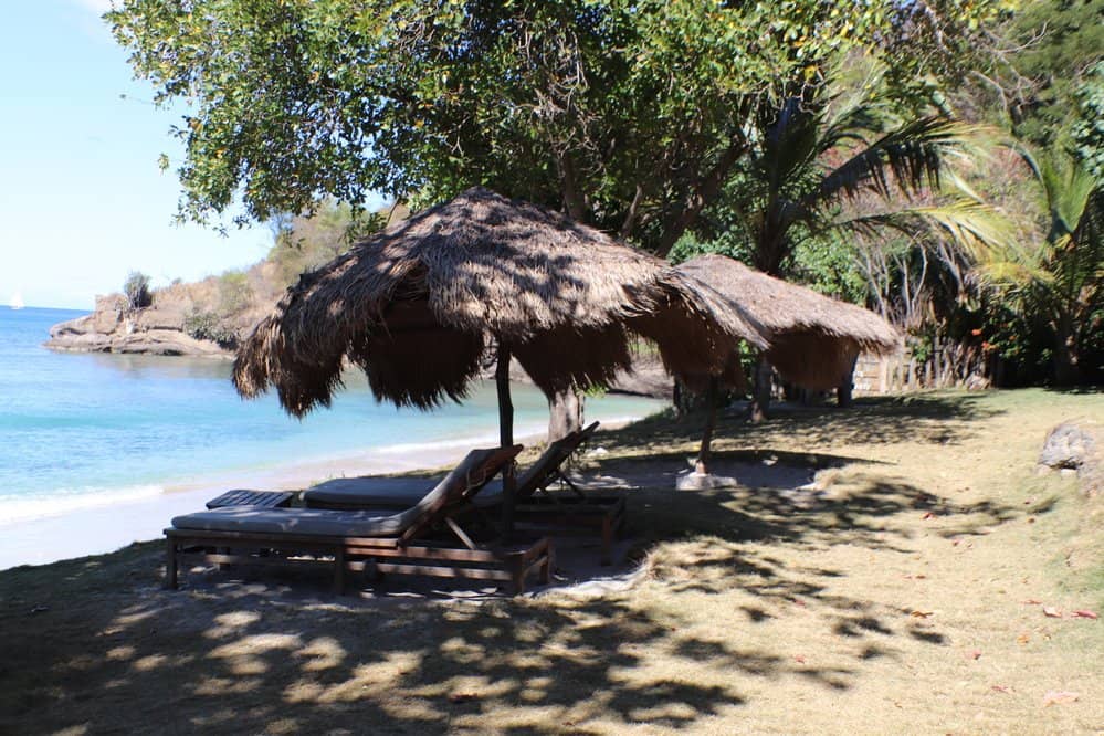 Palm-Fringed Serenity