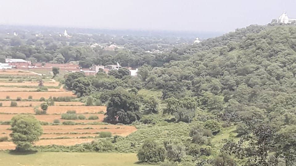 Intricate Rajasthani Architecture