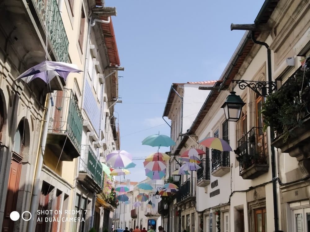Salida cultural