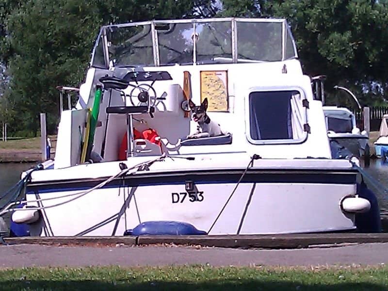 Horsey Mere Wildlife