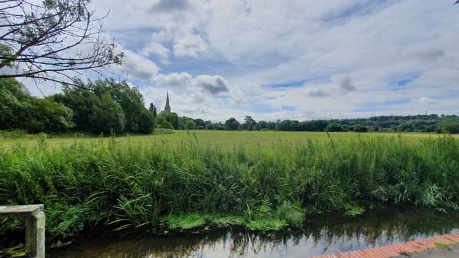 Salisbury Cathedral Views