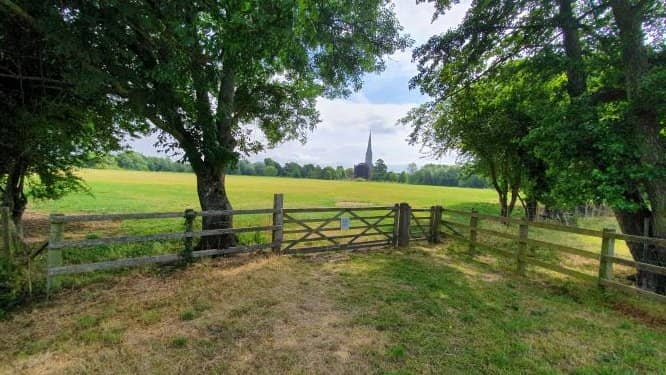 The 'Drowning' of the Meadows