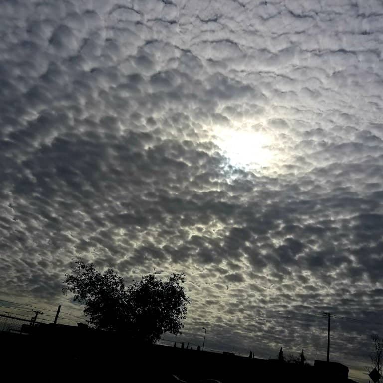 Green Spaces & Walking Paths