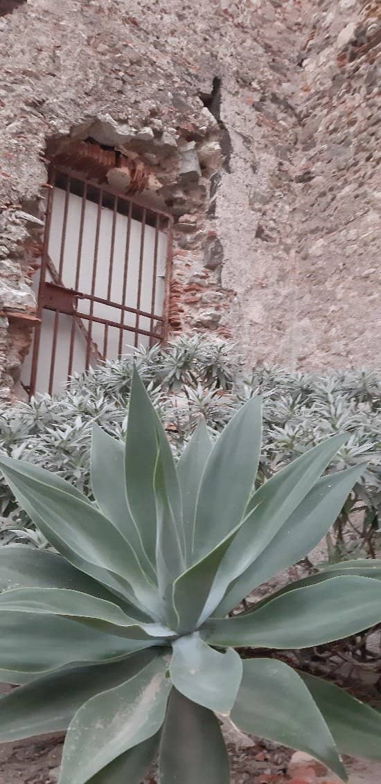 Suor Bernarda's Legend