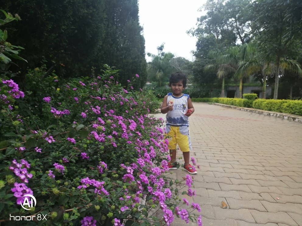 Rose Garden Section