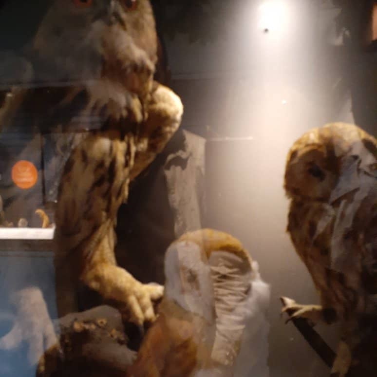 Mineral & Stone Exhibits