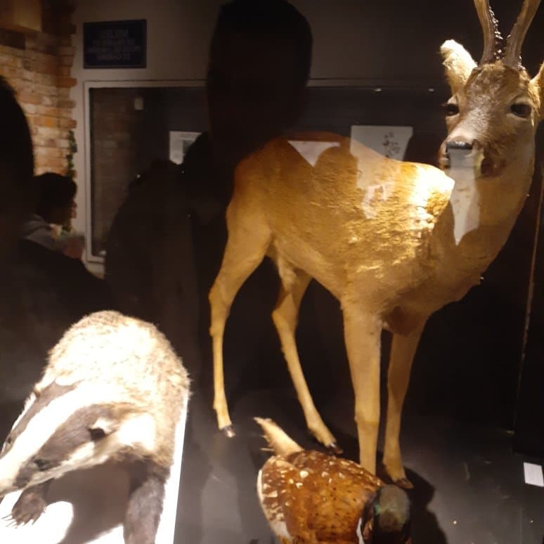 visite en famille, jour de vacances scolaire sous la pluie. Visite gratuite. Sympa les enfants on bien aimé.