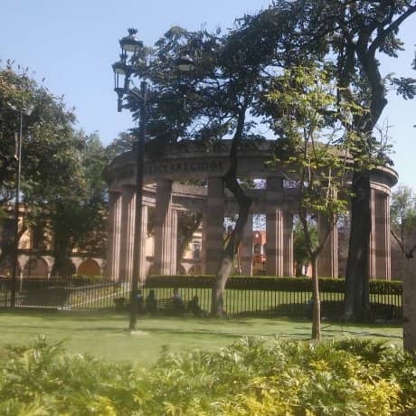 Vertical photo