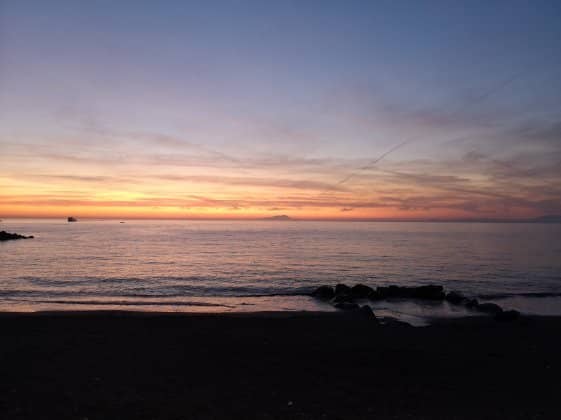 Lively Street Vendor Scene