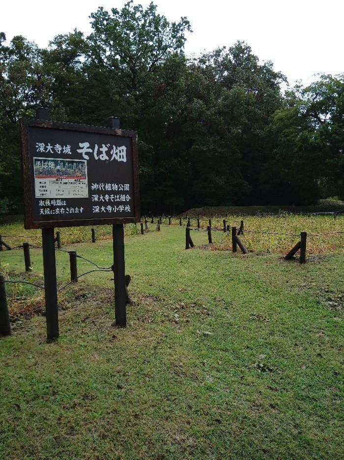 Scenic Green Spaces