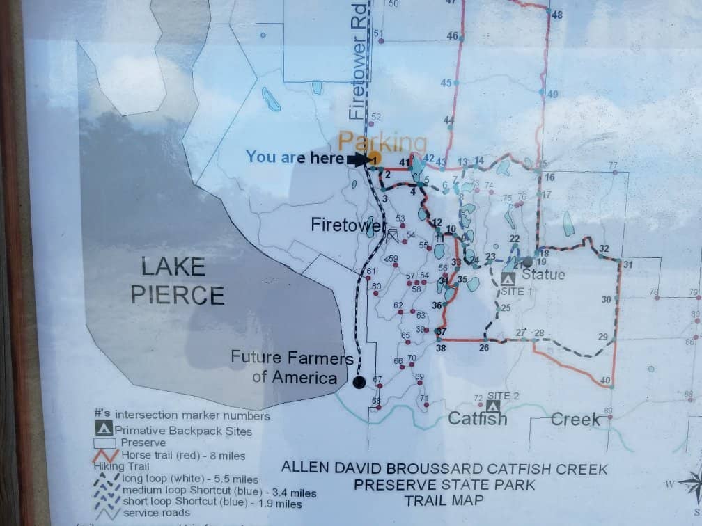 Pristine Ponds and Lakes