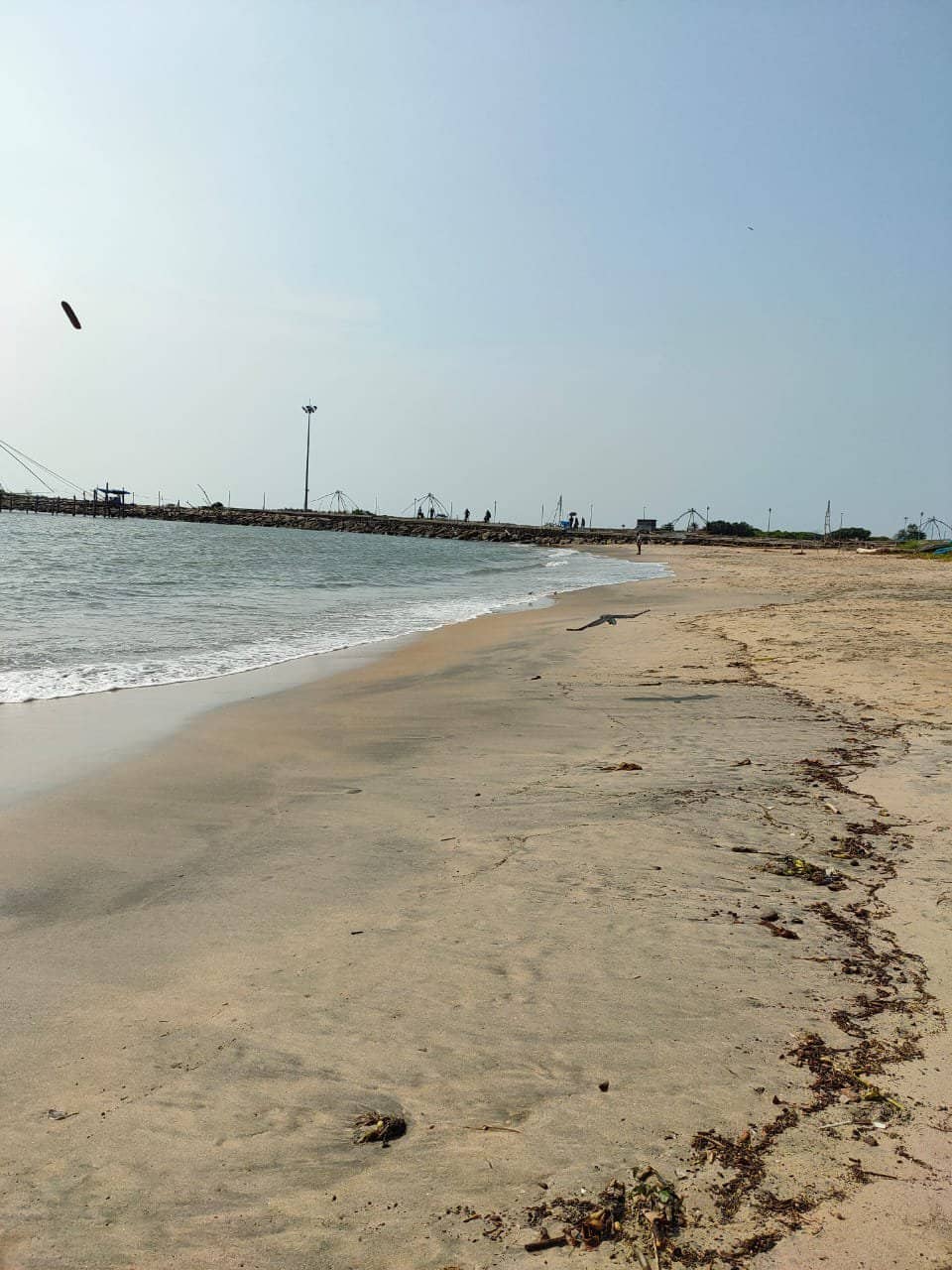 Periyar River Meets Arabian Sea