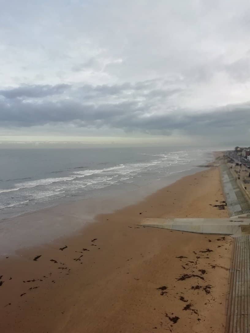 Illuminated Evening Spectacle