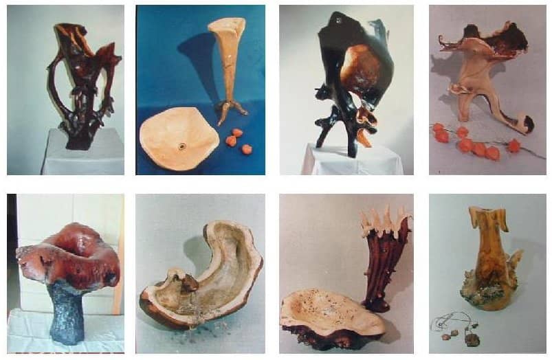 Interactive Demonstrations